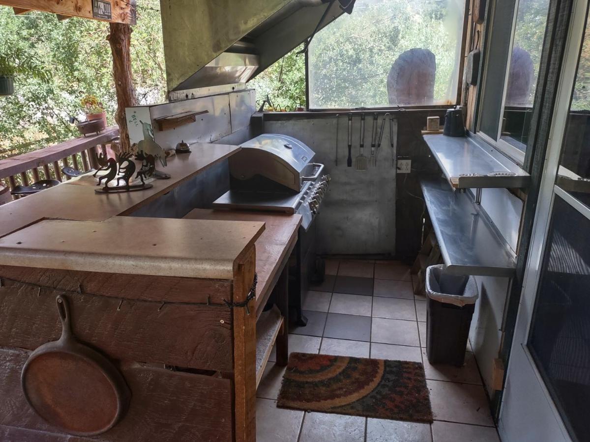 Buffalo Bungalow — photo 3