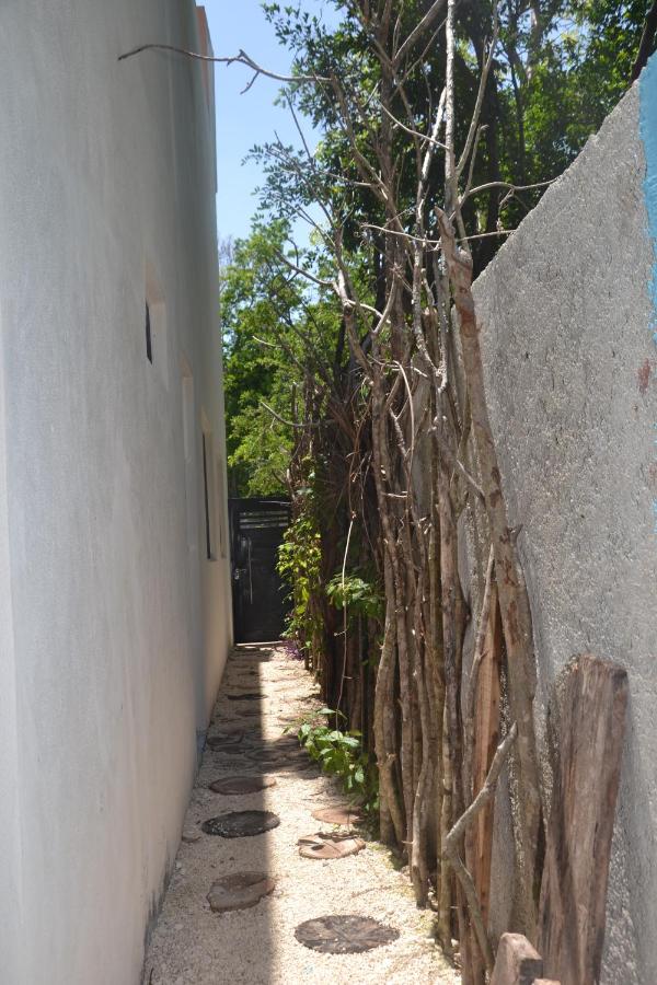 Relaxing comfortable jungle view Eklum Villa Rivera Maya Puerto Morelos POOL AC GYM GATED COMMUNITY photo