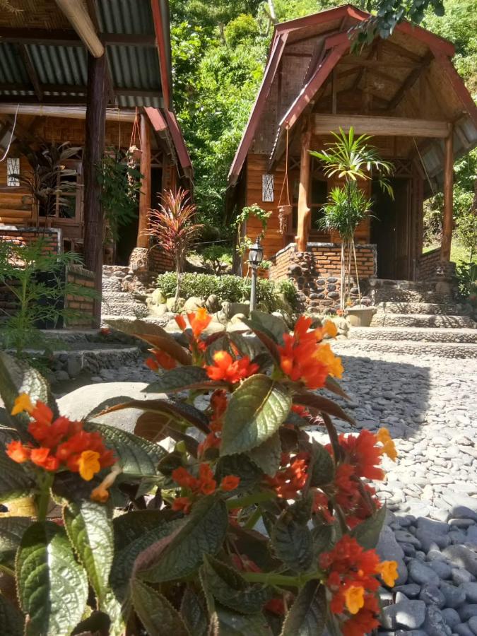 Lucky Bamboo'Bungalows and Orangutan Jungle Trekking Tours