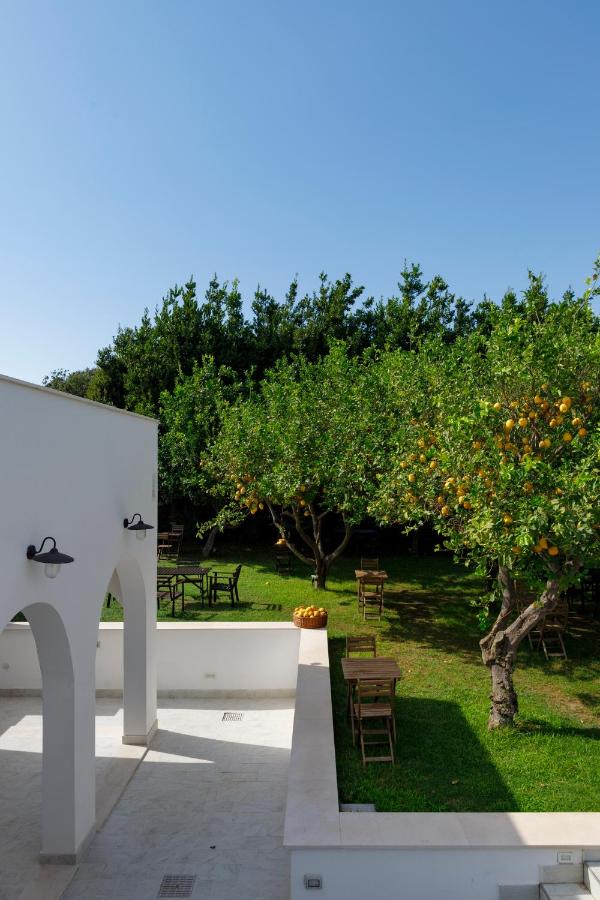 La casa sul faro photo