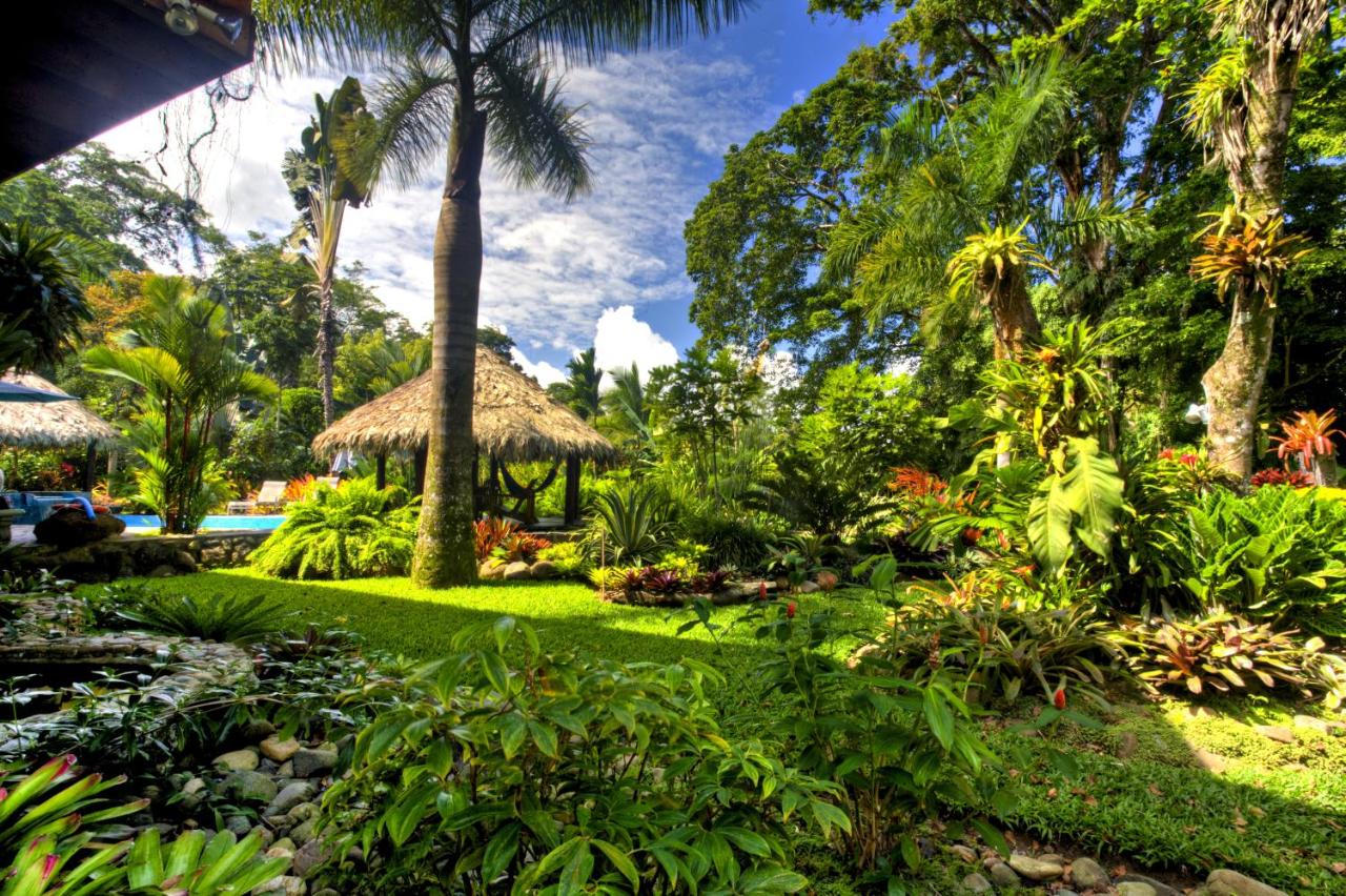 Hotel Banana Azul - Adults Only photo