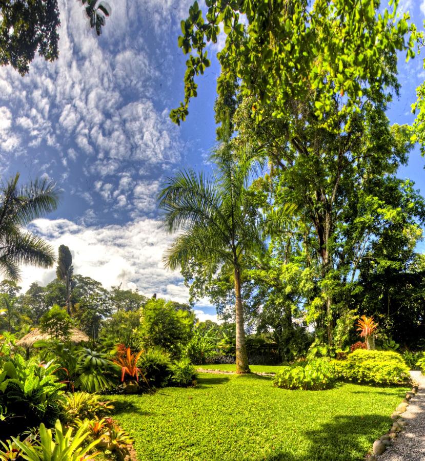 Hotel Banana Azul - Adults Only photo