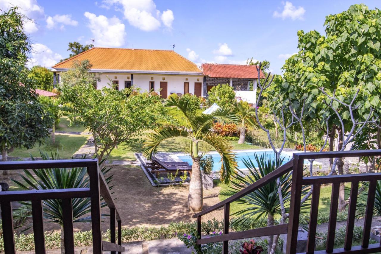 The Pande Hill Homestay - 4