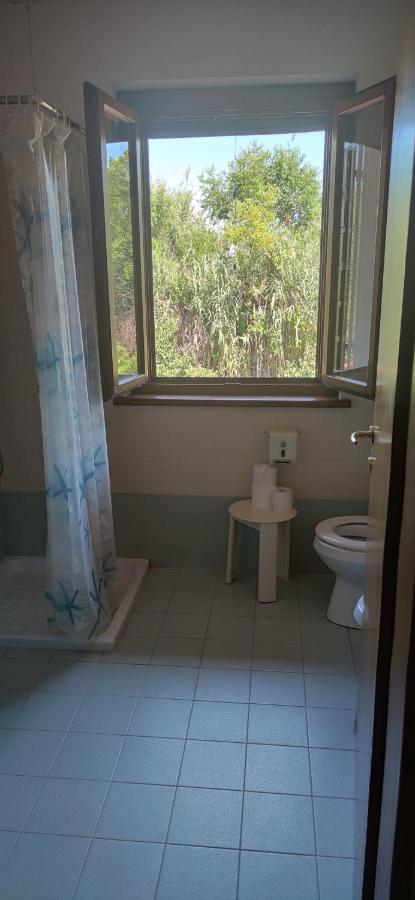 Isola della Cona - Riserva naturale Foce dell'Isonzo - 3