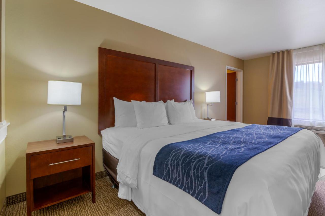 Forman Inn & Suites — photo 11