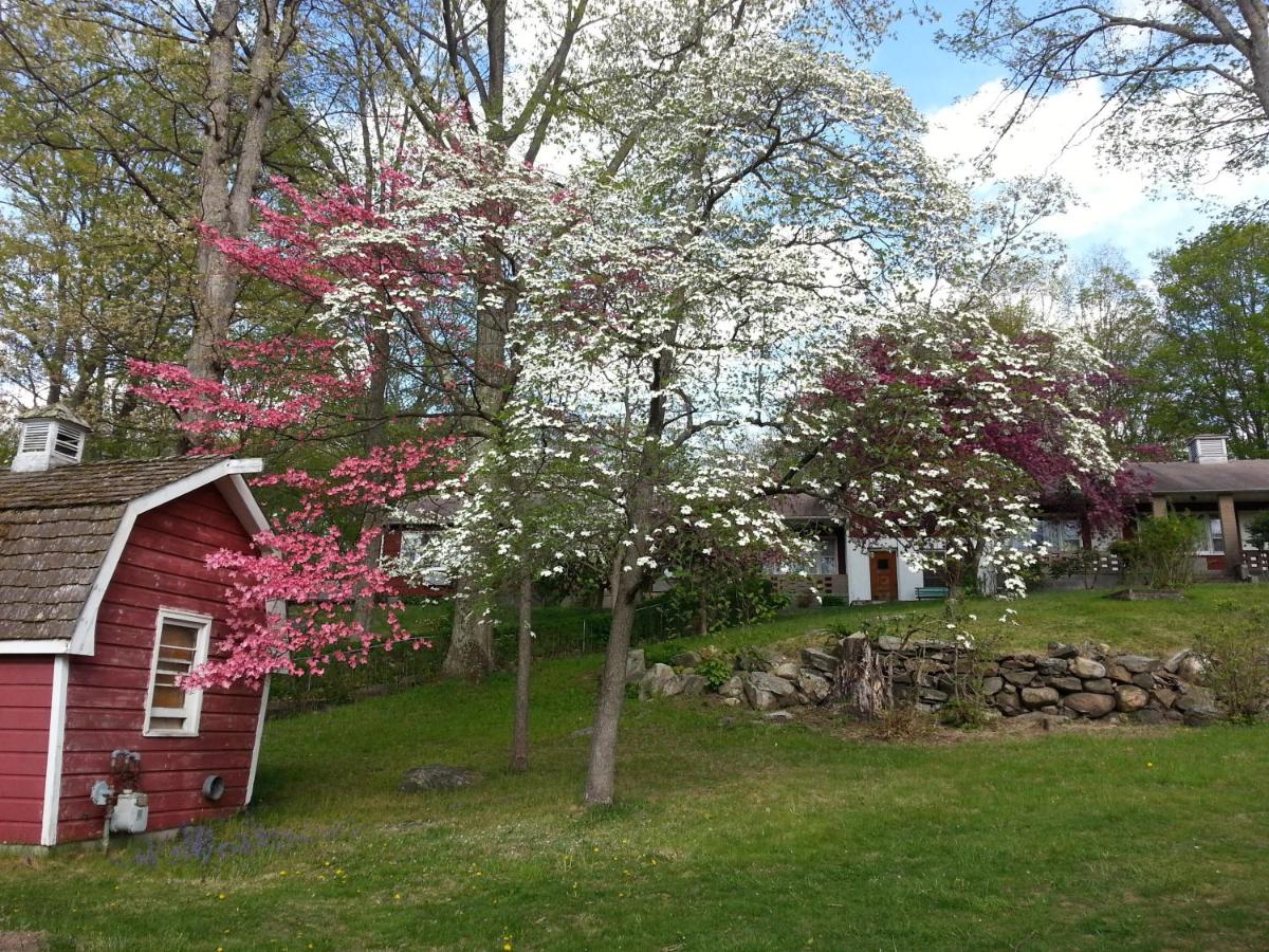 Heidi's Inn — photo 15