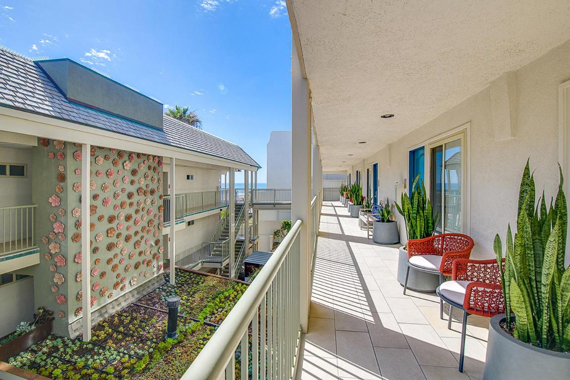 Beach Terrace — photo 19