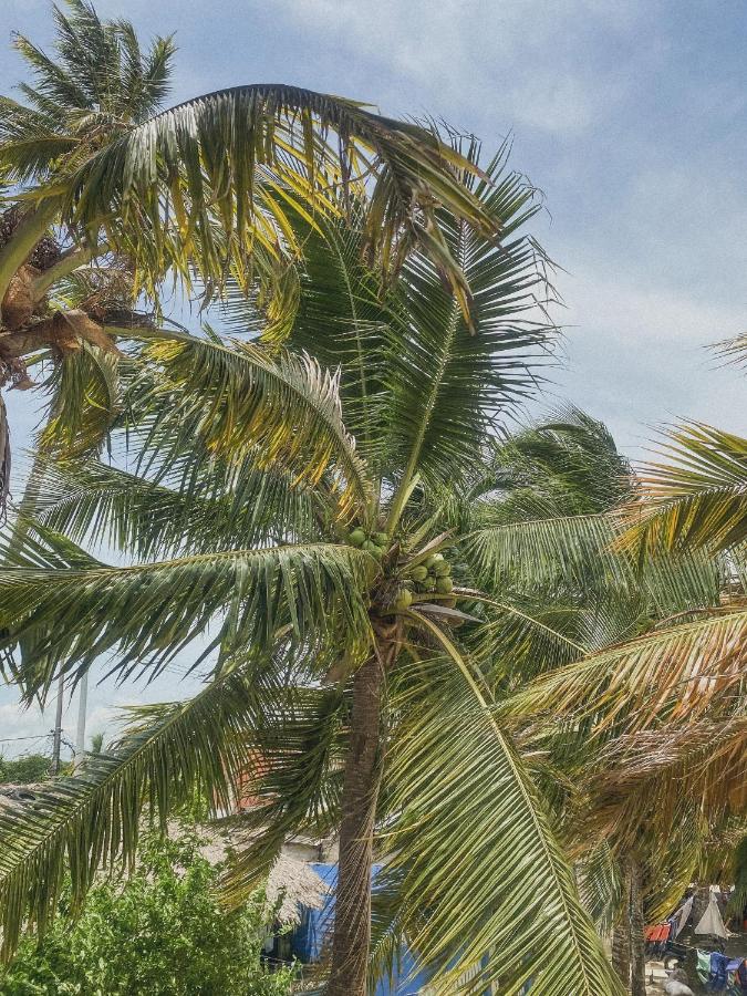 Beach: Mamallena Beachside Rincon del Mar