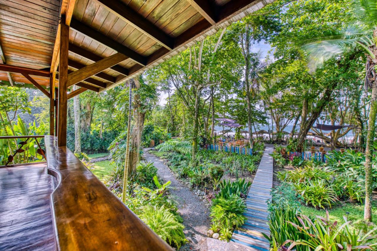 Hotel Banana Azul - Adults Only photo