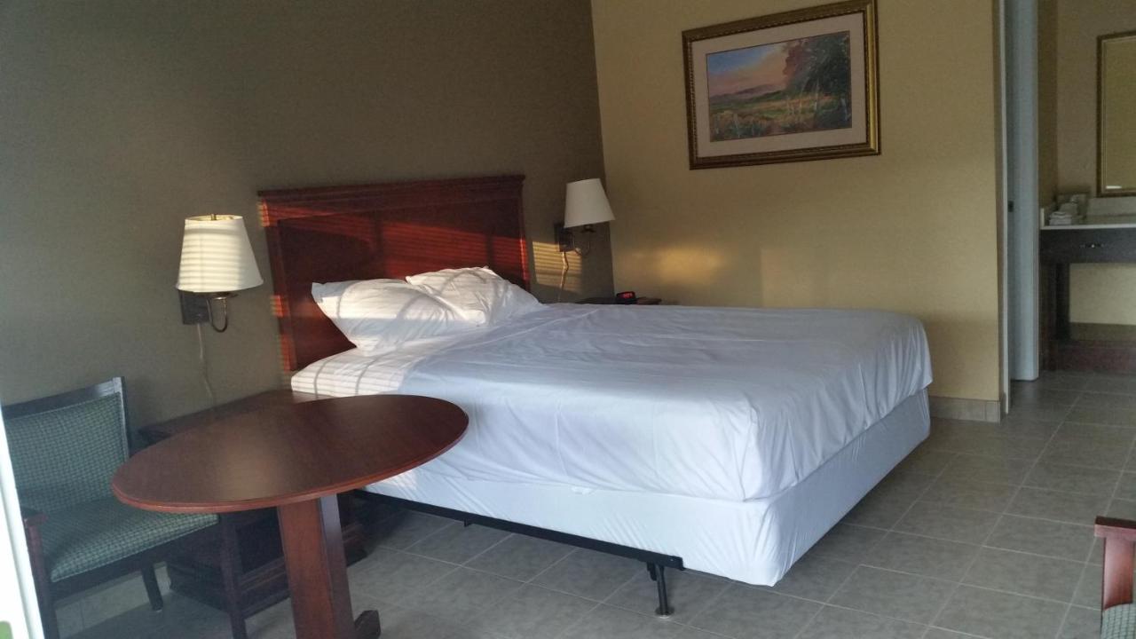 West Motel — photo 22