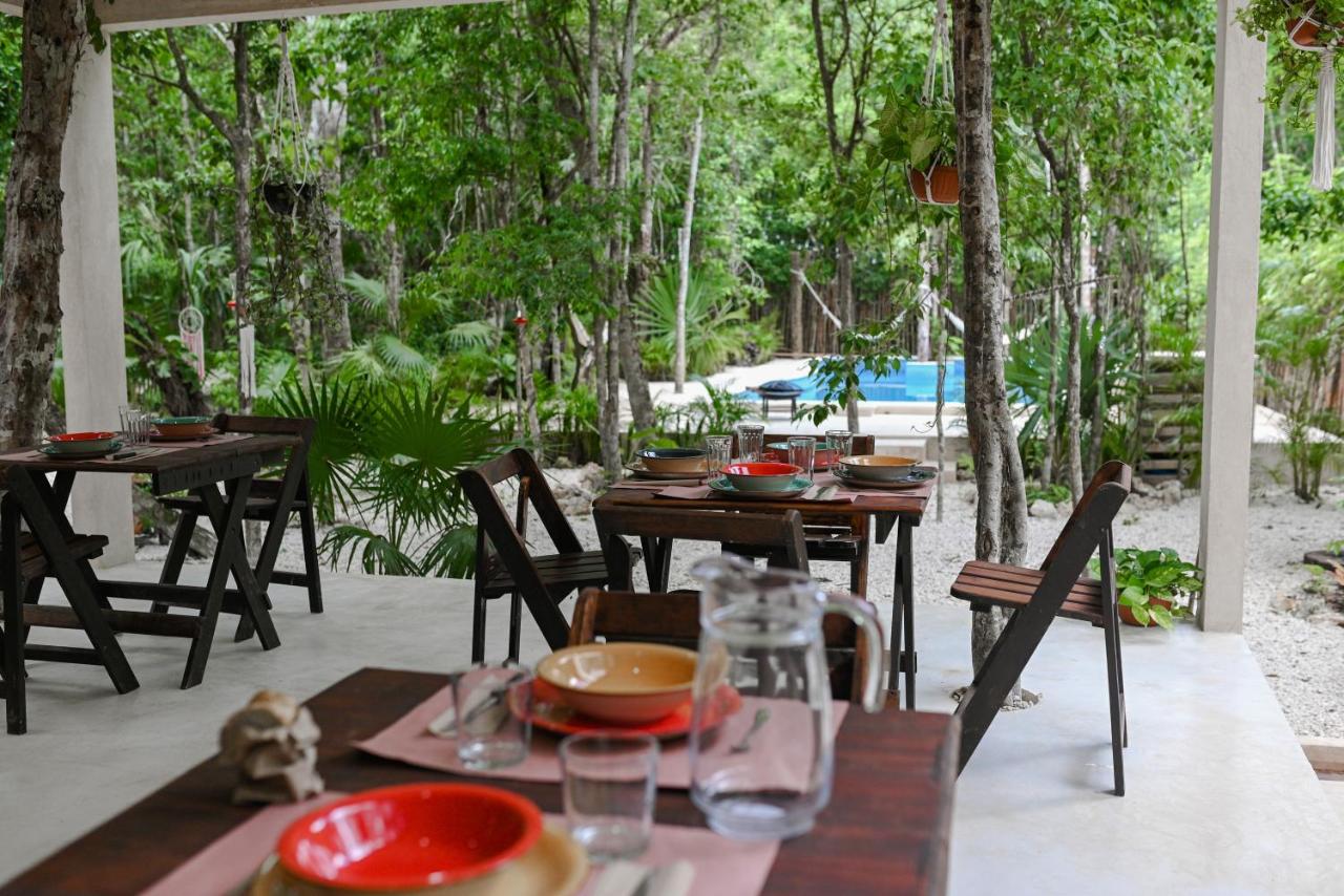 Lunita Jungle Experience photo