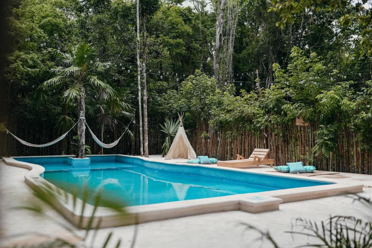 Lunita Jungle Experience photo