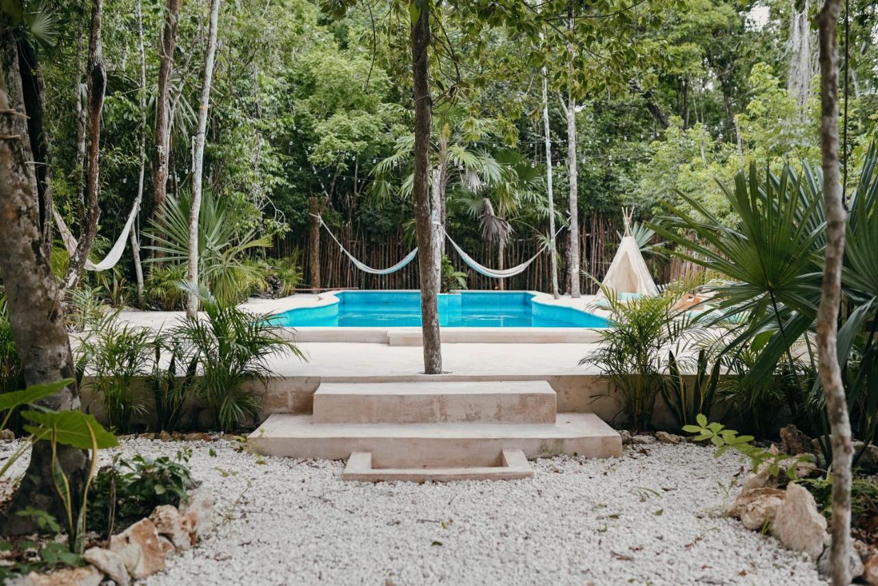 Lunita Jungle Experience photo