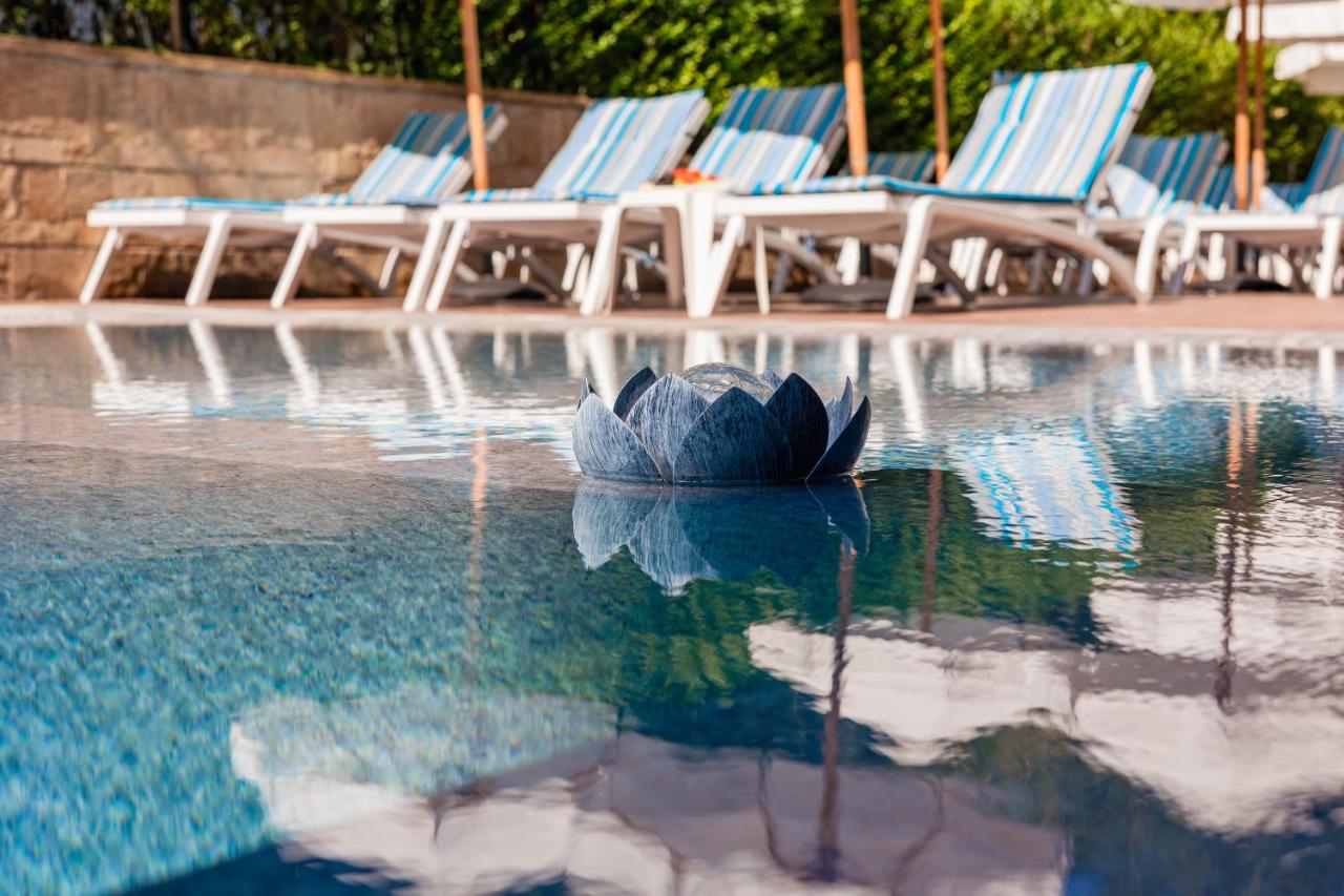 Terra Hotel photo