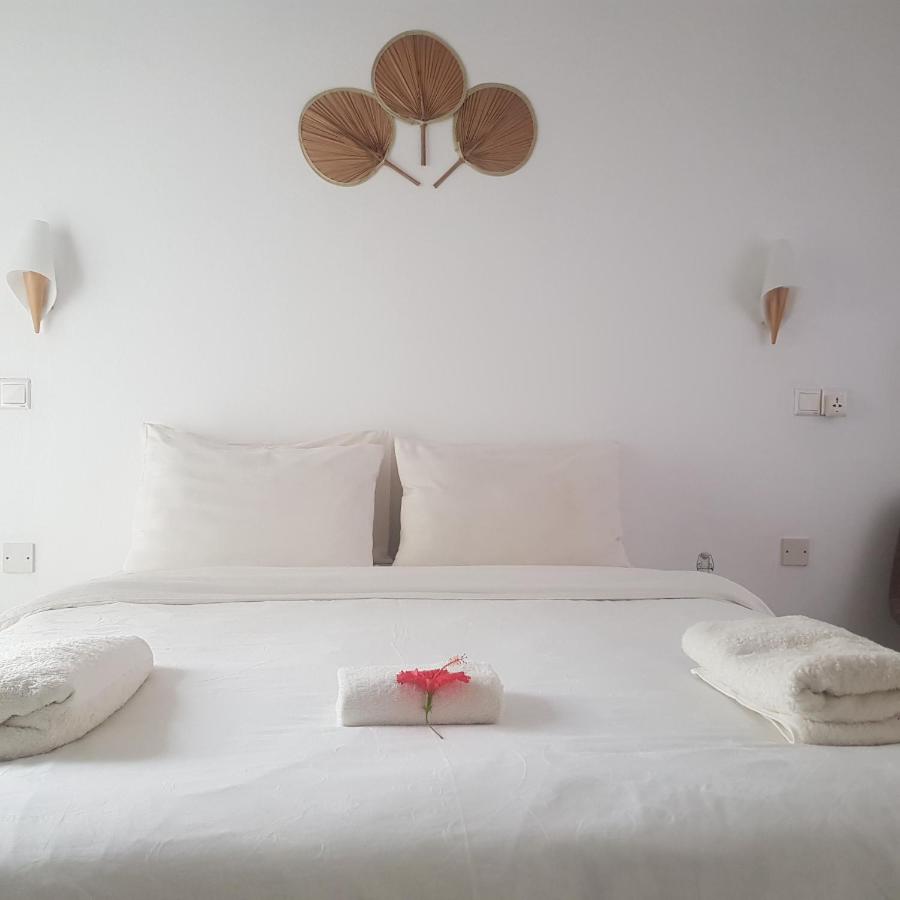 Vaali Maldives Island Escapes & Dive - 5