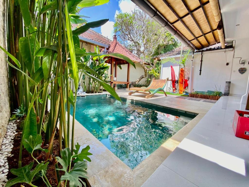 Timaya Villa BEST LOCATION - 4