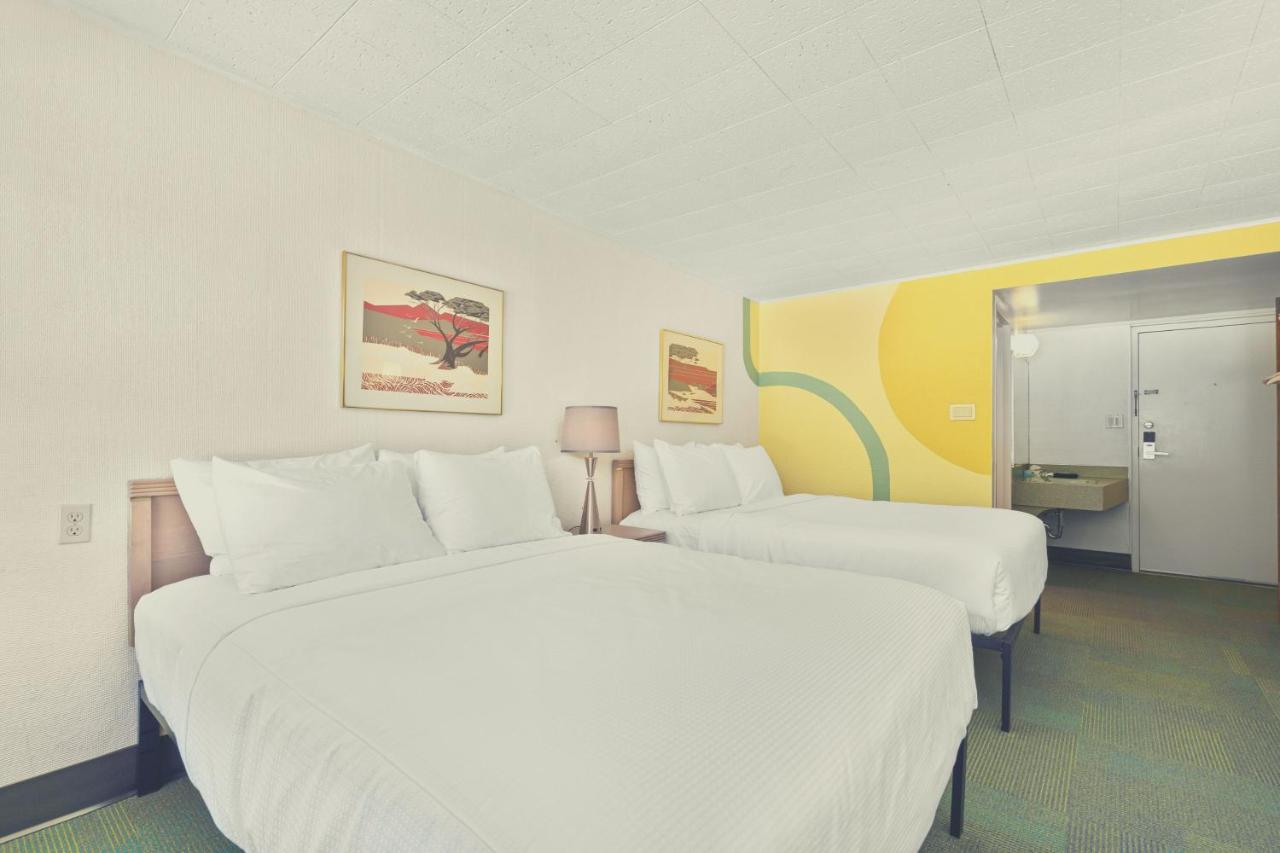Stardust Motel Wallace — photo 8