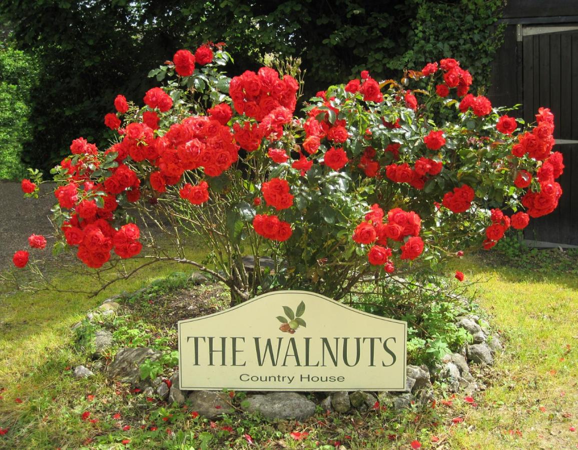 The Walnuts Country House - Laterooms