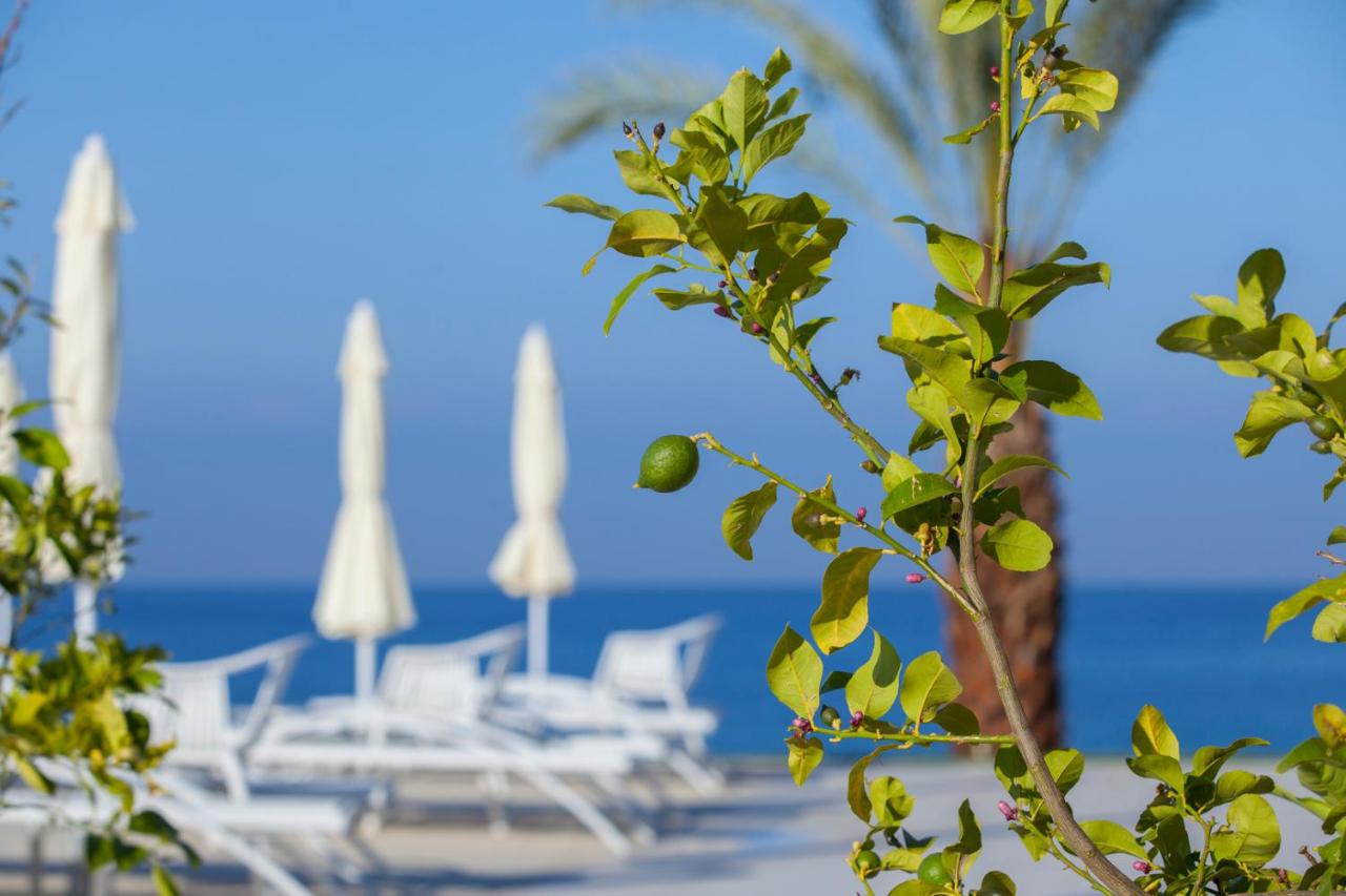 King Evelthon Beach Hotel & Resort photo