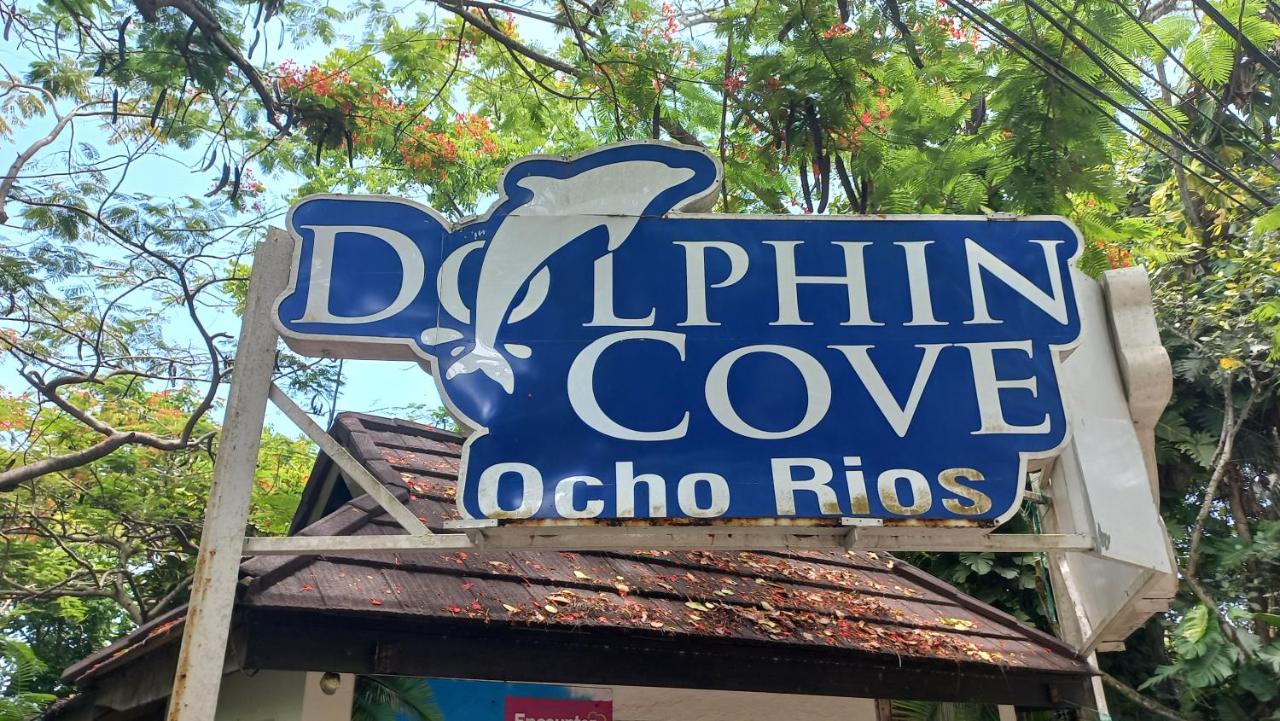 Beach One Bedroom 2 - 3