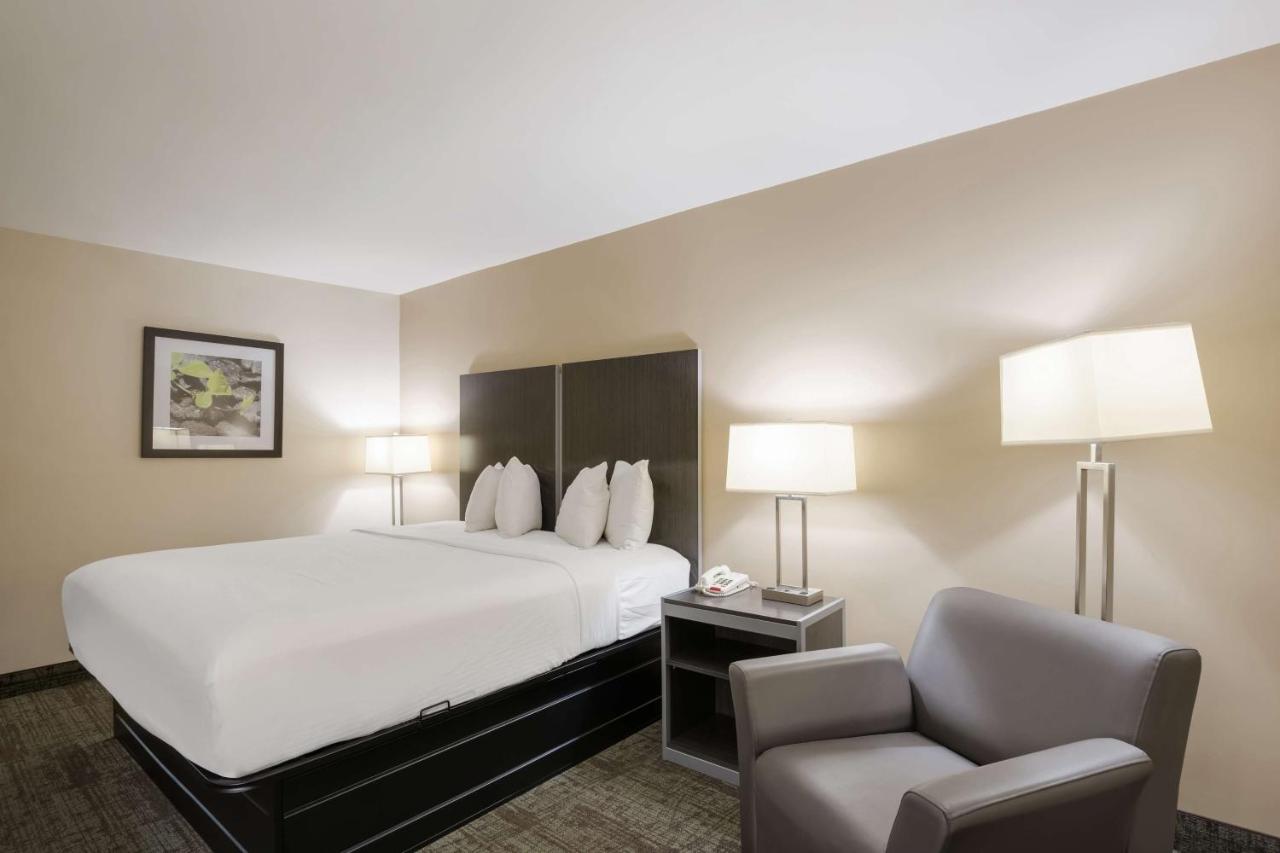 Western Inn — photo 15