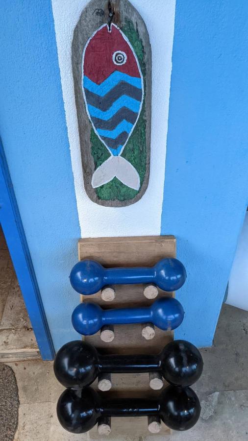 Casa Azul do Piauí photo