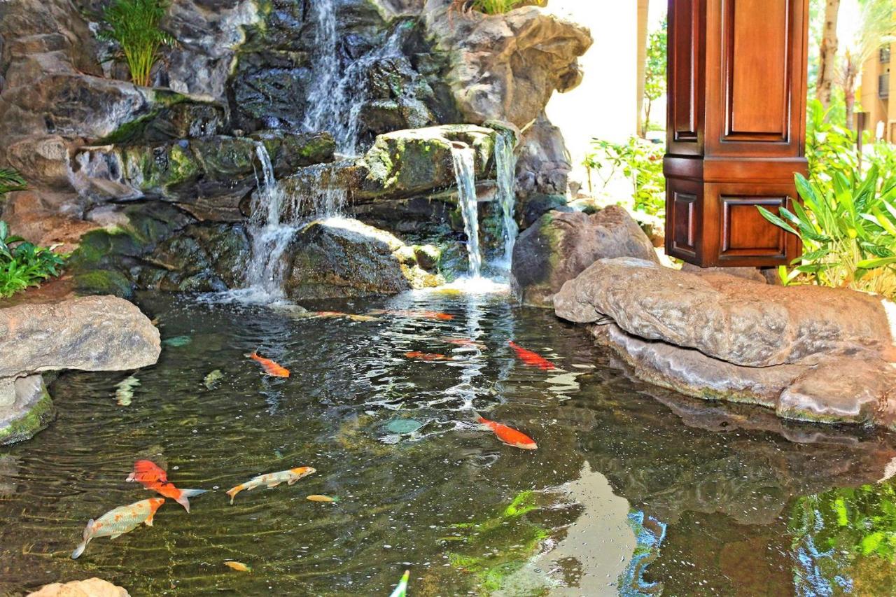 Waikiki Banyan #612-T1 photo