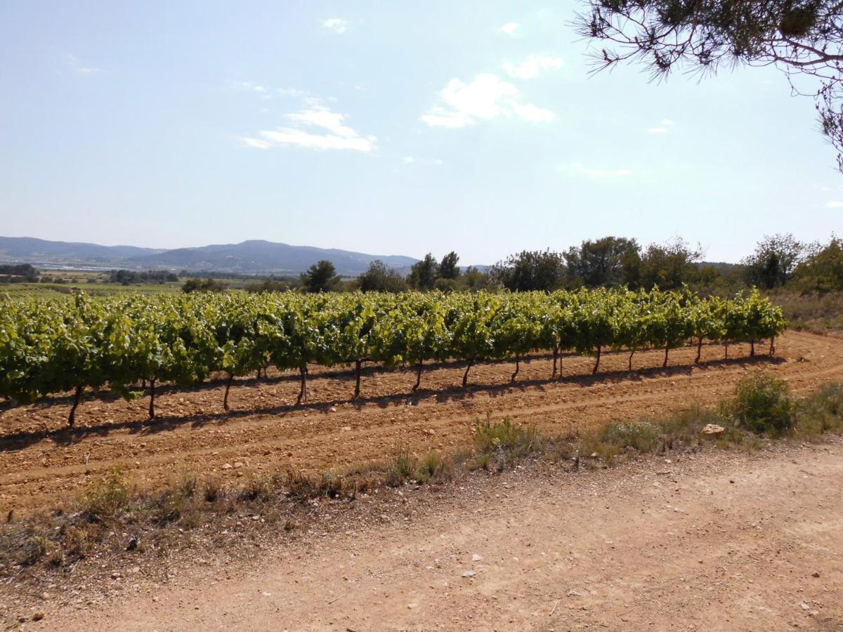 Naturparadis, Bisbal del Penedès – Bijgewerkte prijzen 2022