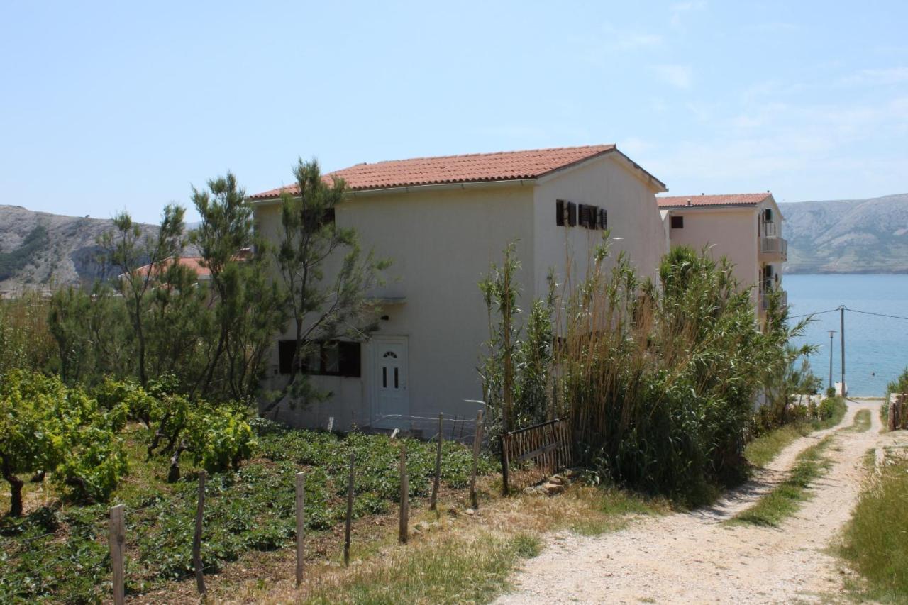 Apartments by the sea Metajna, Pag - 3304 photo