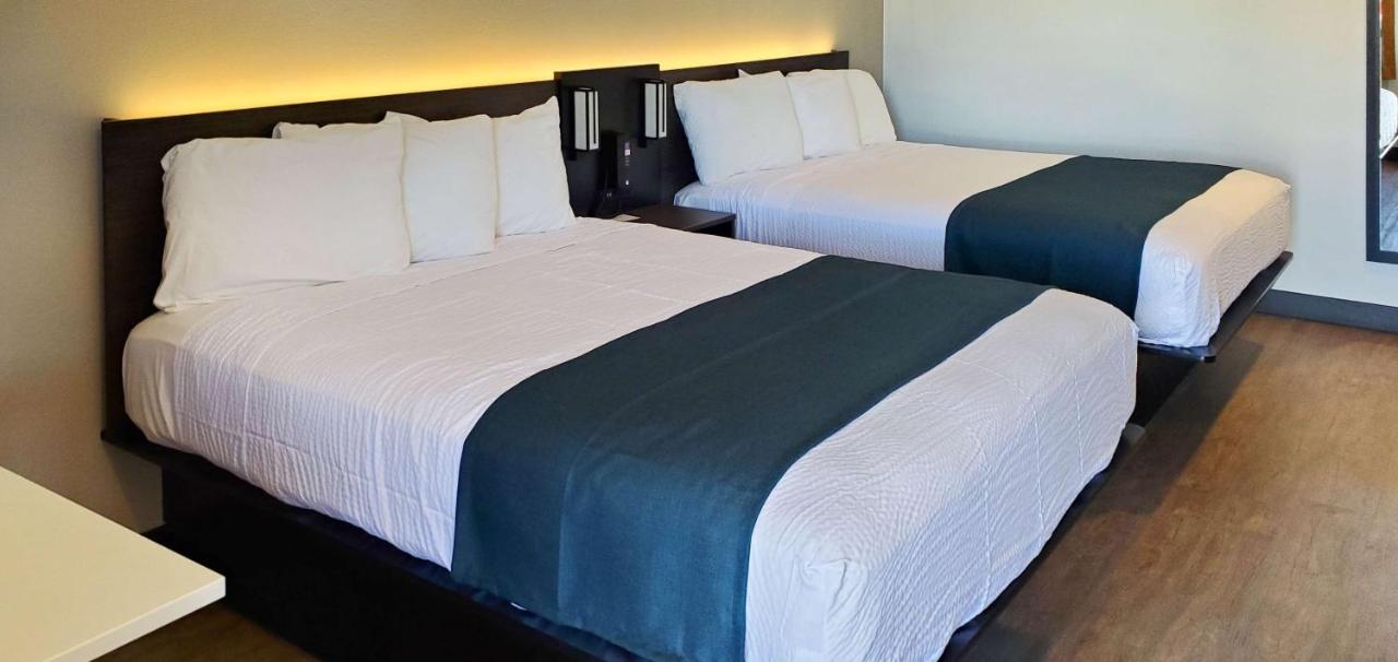 ALVARADO PALMS MOTEL — photo 16