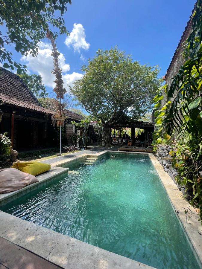 Da Housetel Kuta - 4