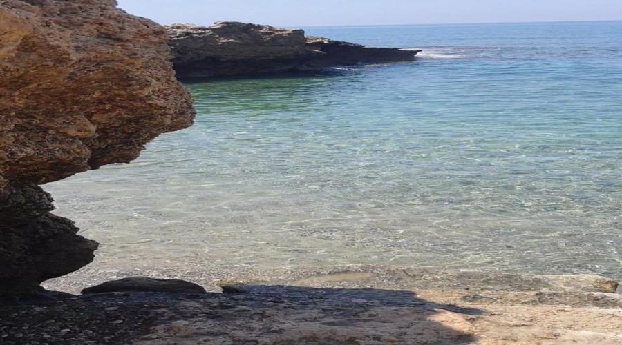 King Evelthon Beach Hotel & Resort photo