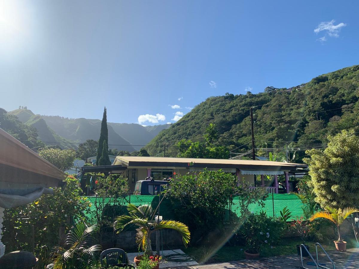 Sweet little house - private pool - 3