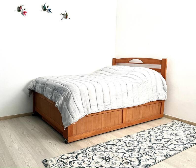 Apartment in the touristic heart of Mexico City - 2