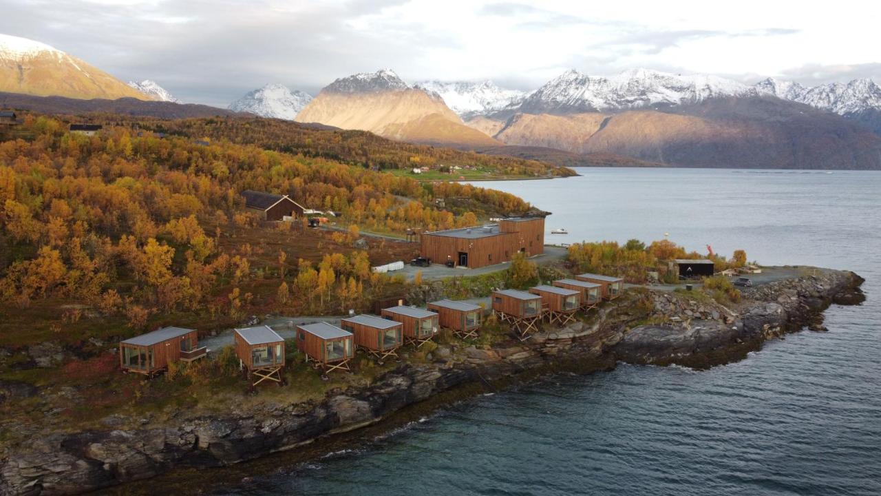Aurora Fjord Cabins — photo 3
