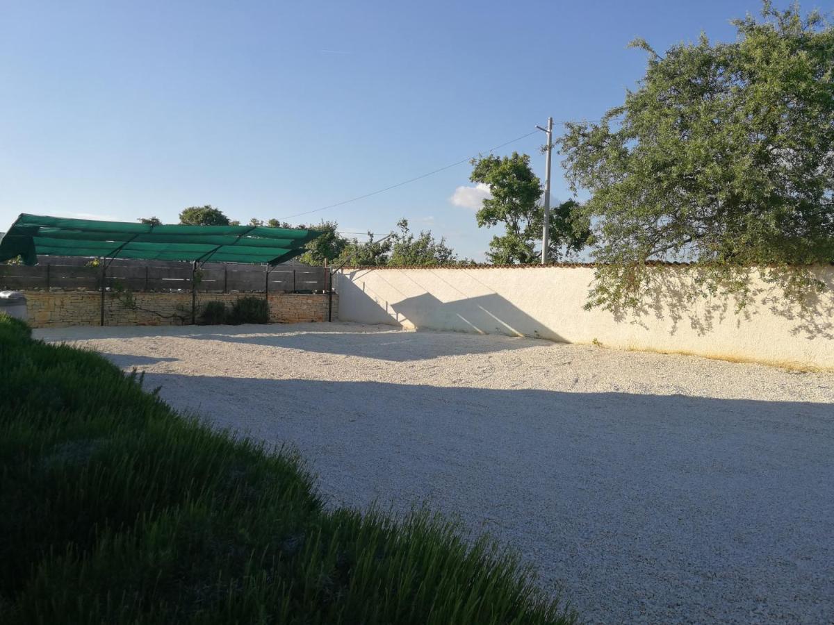 Family friendly house with a swimming pool Rezanci, Central Istria - Sredisnja Istra - 17632 photo