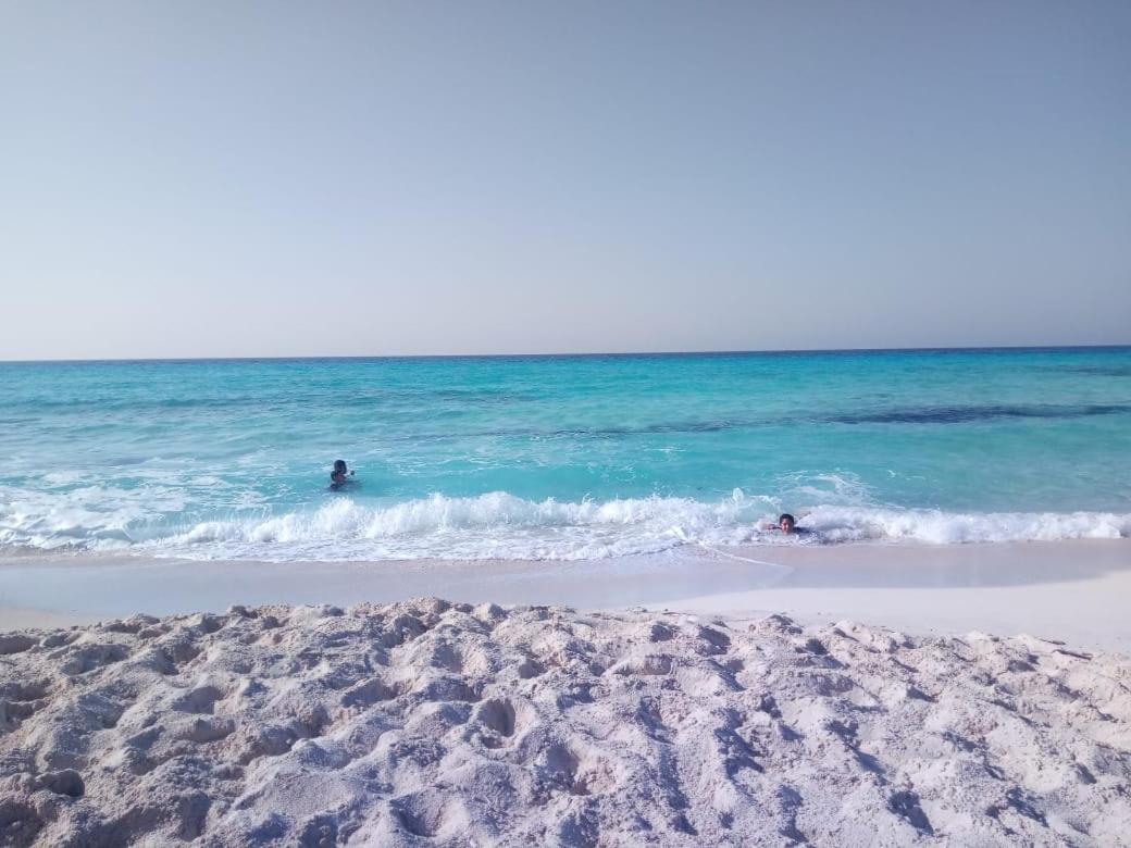Beach: شالية_للإيجار في مطروح #شاليه #مطروح #مرسى_مطروح #قرية_سياحية #شاليه_شايف البحر #شاطئ_الابيض #الأبيض وبه #حمام_سباحة للأطفال والكبار يعمل فقط من اخر شهر 6 الى اخر الصيف للاستفسار 01098715011 ملحوظه لا تتم الحجز قبل الاتصال التلفوني