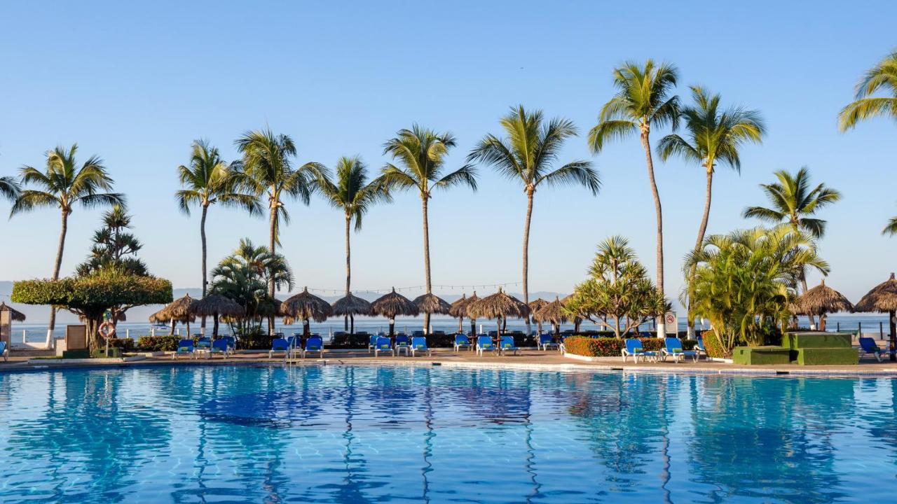 pool with palm trees and sun loungers around it