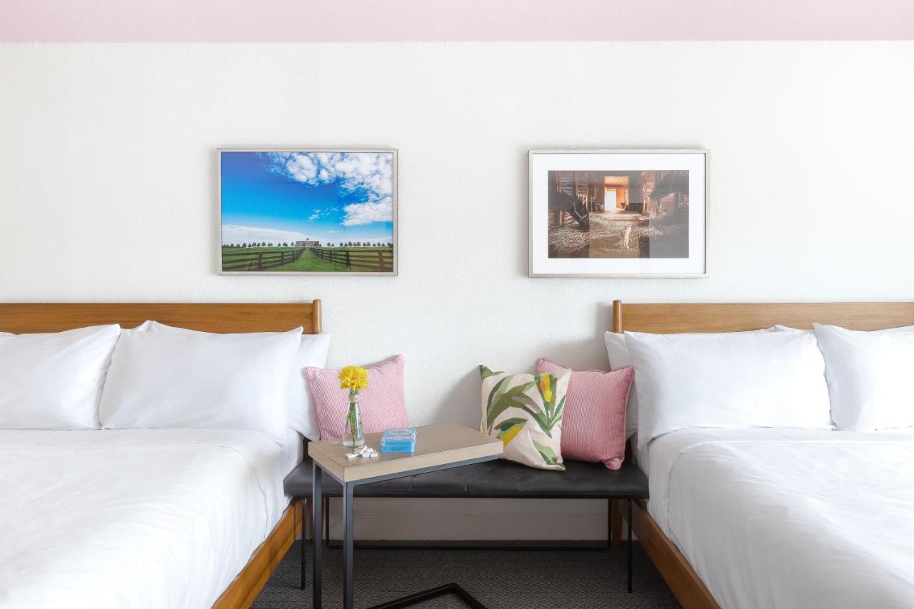 Elwood Hotel & Suites — photo 11
