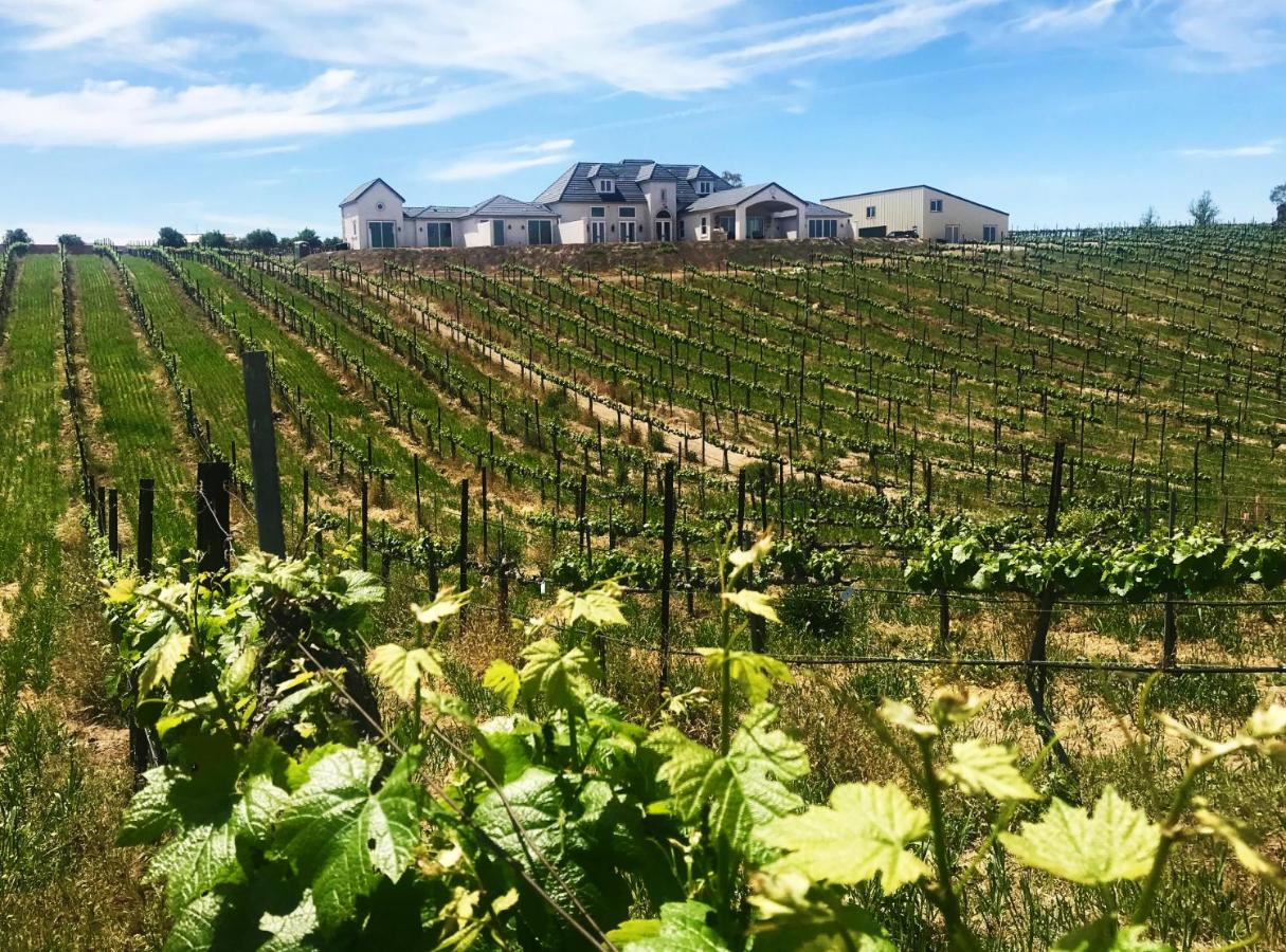 Domaine Chardonnay Winery Estate & Luxury Guest Suites — photo 9
