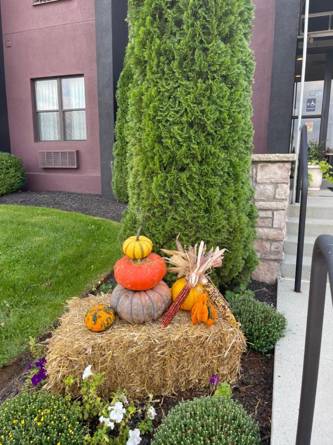 Brinton Suites — photo 10