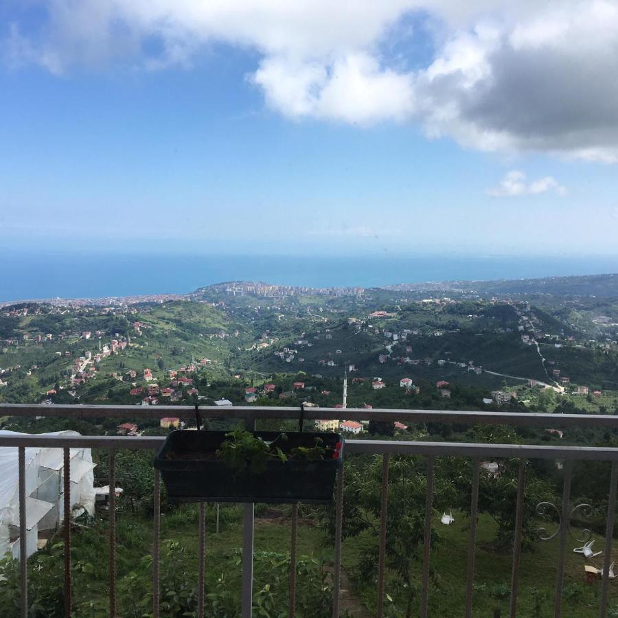 Nefs I Karluk Villasi トラブゾン 22年 最新料金