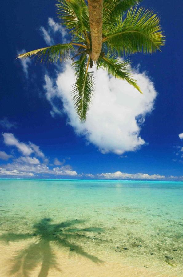 Beach: Hotel Le Mahana