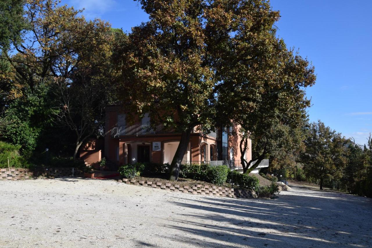 Hotel Il boschetto photo