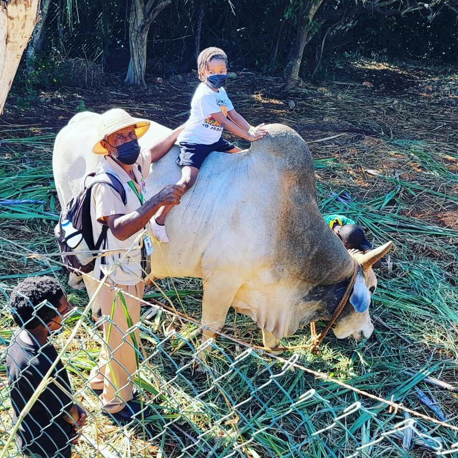 Blue Paloma Bed & Breakfast - 3