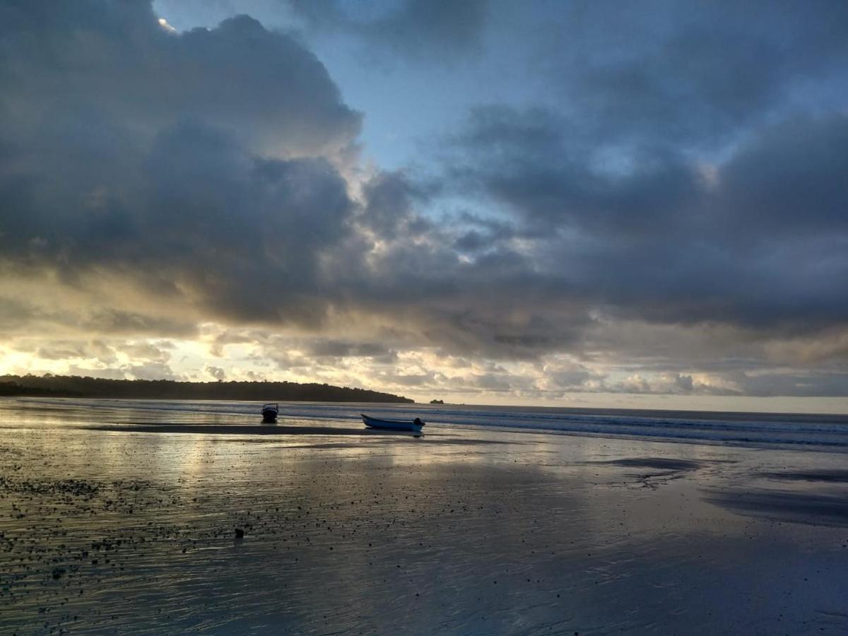Beach: El retoño del negro gozon