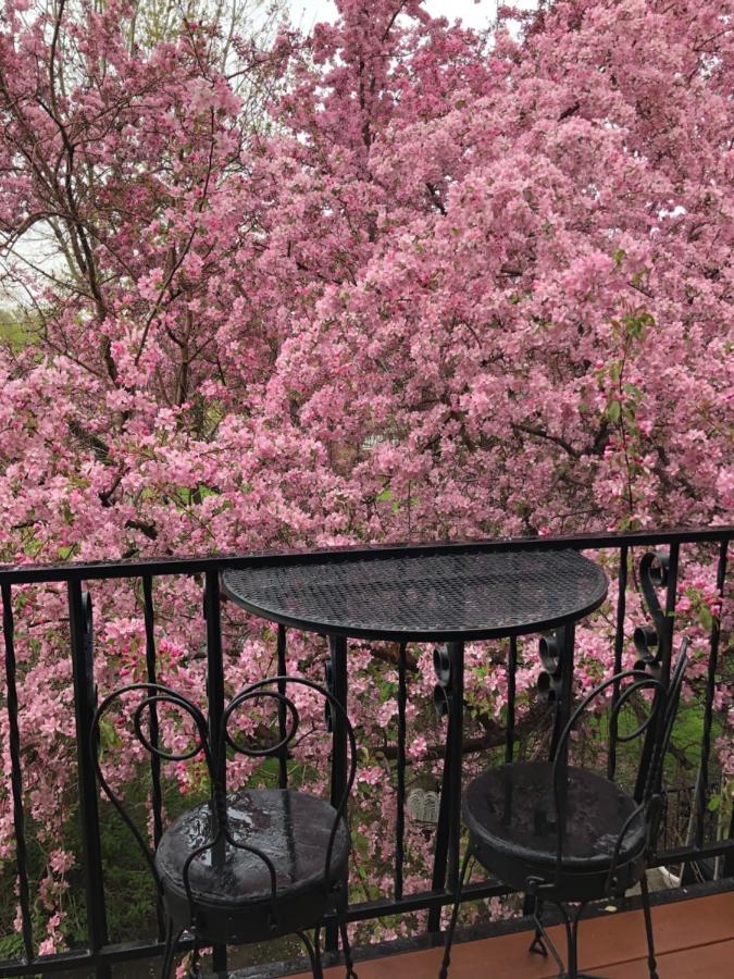 Chamberlin Inn — photo 8