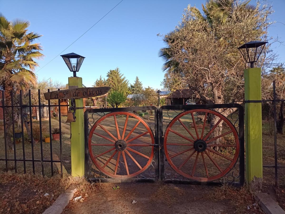 Quinta Los Olivos — área externa