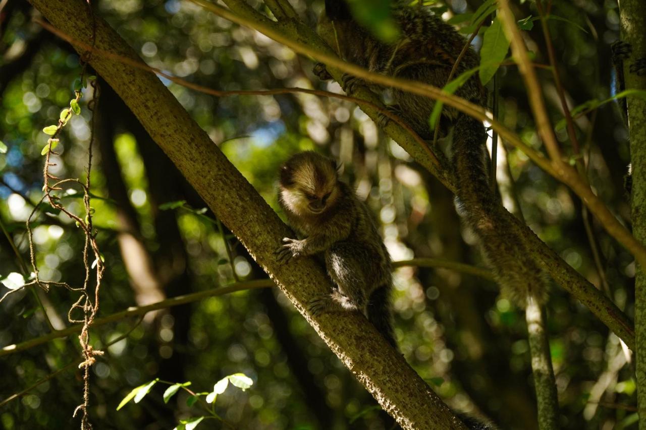 Pousada Dunasol Floripa photo