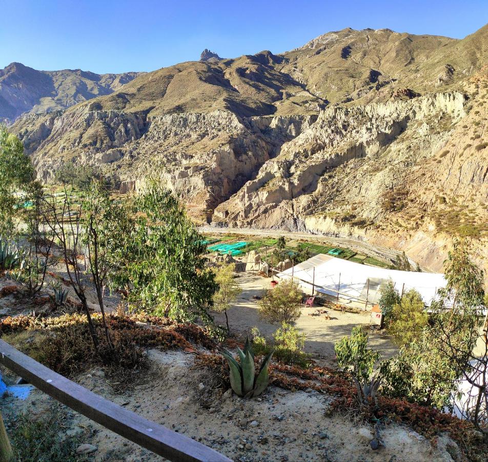 Colibrí Eco Lodge & Camping photo